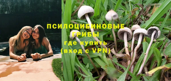 твердый Гусиноозёрск