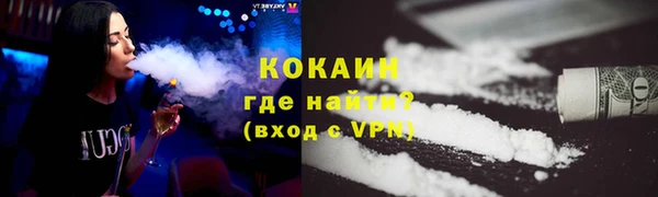 мет Новозыбков