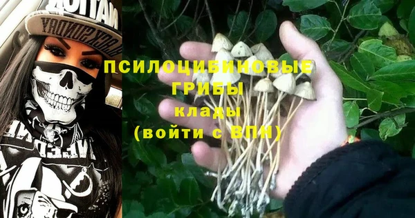 твердый Гусиноозёрск